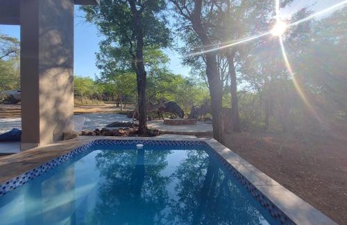 Marloth Park House | 3714 @Ribbok