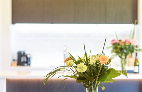 Richmond House | 39 Carmine Five Star 4-bedroom Holiday Home in Nelson/Tasman