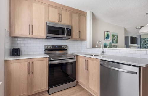 Berkeley Condo | 4 BDRM* SLEEPS 12* 2 KITCHENS* 2 LIVING RMS* 4 BATHRMS* BUSCH GARDENS 10 MILES*