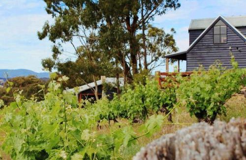 Moonambel House | 4 Bedroom Holiday House in Winery