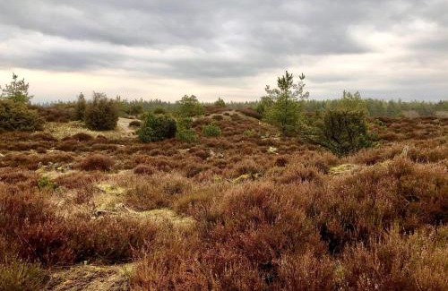 Janderup House | 4 person holiday home in Grindsted-By Traum