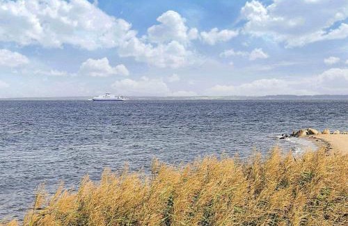 Hvalpsund House | 4 person holiday home in Farsø-By Traum