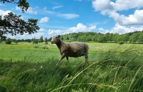 Torshalla House | 4 person holiday home in TORSHÄLLA-By Traum