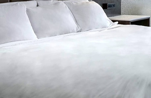 Downtown Hotel | 4-Star Hotel ∙ Radisson Hotel Lansing at the Capitol