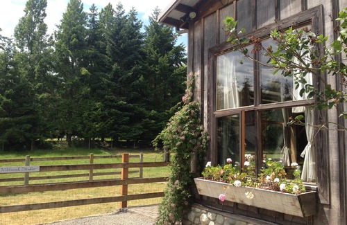 Vashon Island Apartment | 40 Acres Estate, Beach Access, Pet Friendly: Wildwood Studio