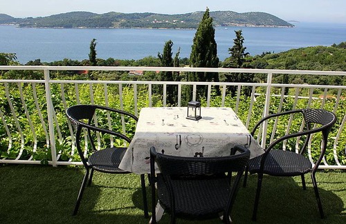 Orasac Apartment | 40 m² Apartment ∙ 1 bedroom ∙ 2 guests