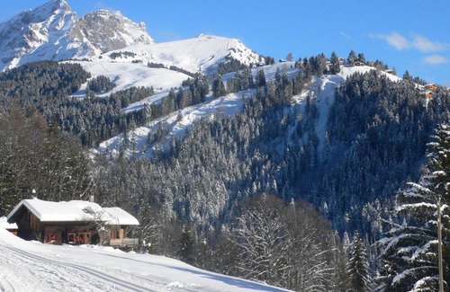 Villars-sur-Ollon Apartment | 40 m² Apartment ∙ 1 bedroom ∙ 2 guests