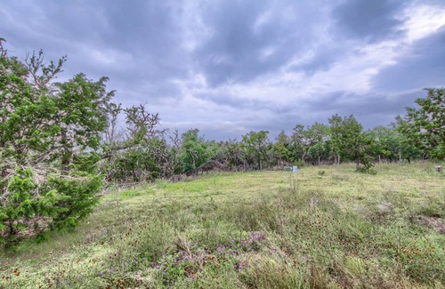 Fredericksburg Cabin | 40 m² Cabin ∙ 1 bedroom ∙ 2 guests