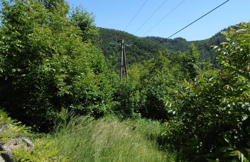 Waldbreitbach Apartment | 42 m² Apartment ∙ 1 bedroom ∙ 4 guests