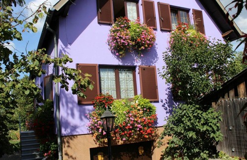 Marckolsheim Apartment | 44 m² Apartment ∙ 1 bedroom ∙ 4 guests