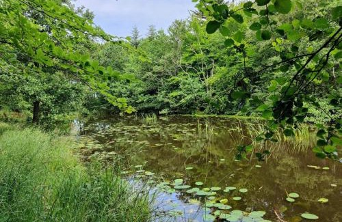 Skiveren House | 6 person holiday home in Ålbæk-By Traum