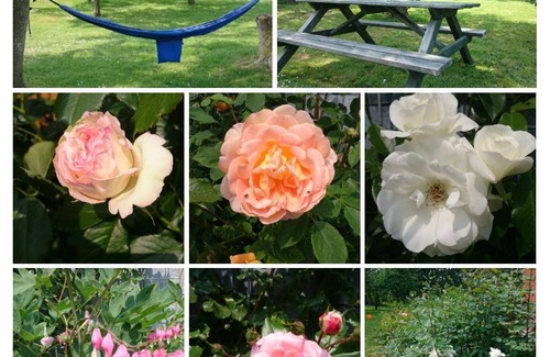 Tumlauer Koog Apartment | 60 m² Apartment ∙ 2 bedrooms ∙ 5 guests