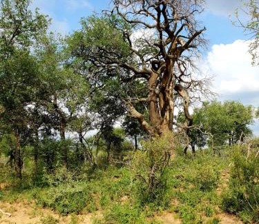 Bela-Bela Apartment | 636 Itaga Safari Lodge, Mabalingwe Nature Reserve