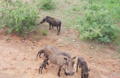 Bela-Bela Apartment | 636 Itaga Safari Lodge, Mabalingwe Nature Reserve