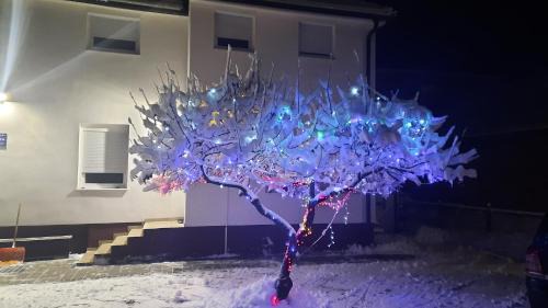 Livno Apartment | 7 Kućica