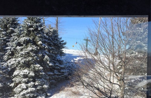 Seven Springs Condo | 7 Springs Mountain Resort-hotel type condo with great rate