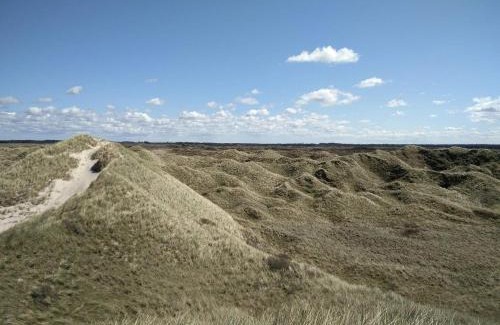 Rødhus House | 8 person holiday home in Pandrup-By Traum