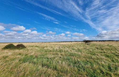 Hemmet House | 8 person holiday home in Hemmet