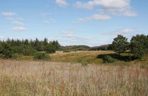 Skals House | 8 person holiday home in Skals