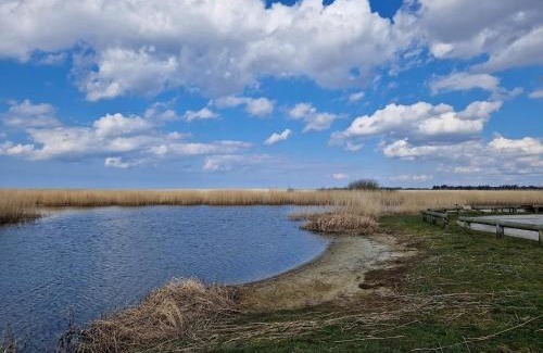 Skjern House | 8 person holiday home in Skjern-By Traum