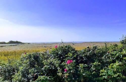 Skjern House | 8 person holiday home in Skjern-By Traum