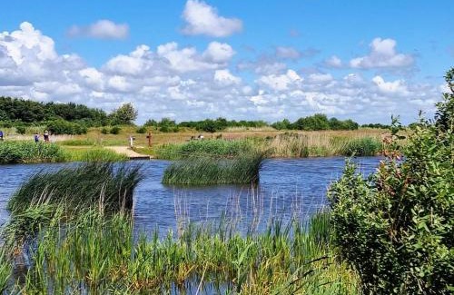 Skjern House | 8 person holiday home in Skjern-By Traum