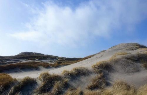 Houvig House | 9 person holiday home in Ringkøbing-By Traum