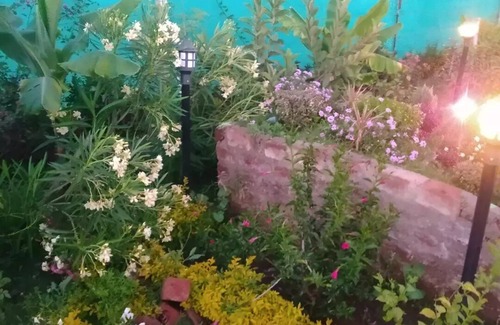 Bhopal Other | A 5 Bedroom luxury resort with Swimming pool in the midst of field