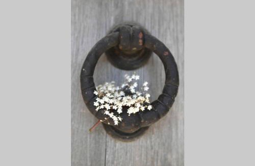 L'Isle-sur-la-Sorgue Villa | A 5 minutes du centre à pied, @lamaisonauxcanards