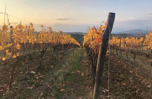 Lastra a Signa Apartment | A Casa di Alice