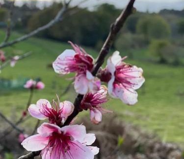 Campo Lameiro House | A Casa do Portal, tu casa rural en Campo Lameiro, cerca de Pontevedra
