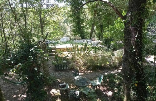 Covas House | A Casa do Sol - Entire bungalow in Vila Nova