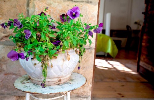 Ein Karem Apartment | A dream vacation in Jerusalem