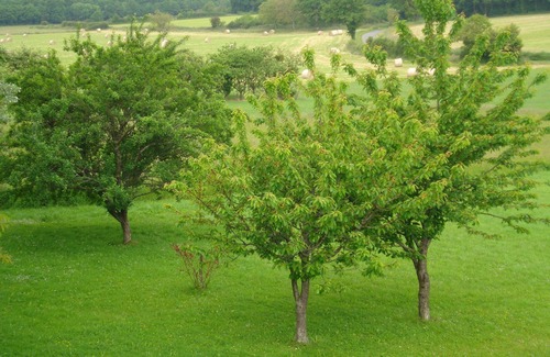 Benest House | A family and quietly located Bed and Breakfast.