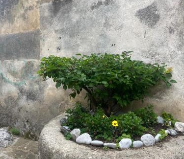 Camerota Bed & Breakfast | A Finistella