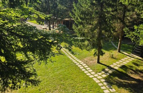 Porumbacu de Jos Ski Chalet | A frame Cuib de Vultur