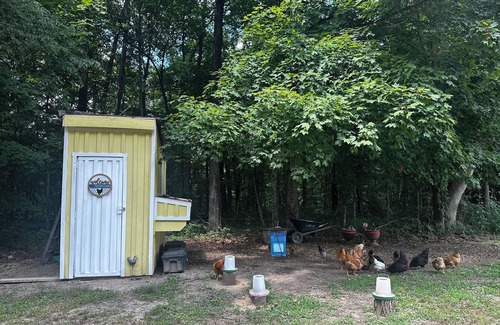 Janesville Cabin | A frame getaway on the Embarrass River in Charleston, Illinois