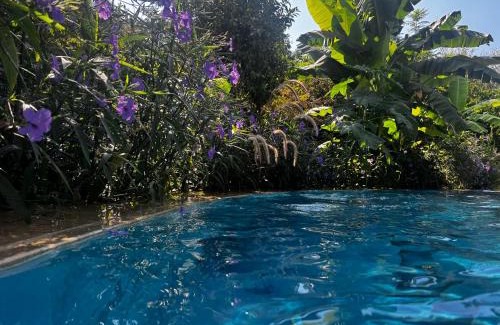 Politiko Villa | A historic STONE VILLA with private garden, terrace and private pool just for you