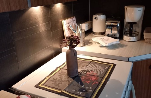 Riquewihr Apartment | A L'ANCIENNE HUILERIE* Charming accommodation in the REMPARTS of RIQUEWIHR.