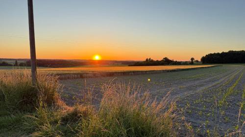 Sud Charente Bed & Breakfast | A l'ombre du Tilleul