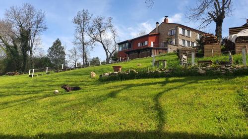 Sainte-Catherine Bed & Breakfast | A l'orée des volcans