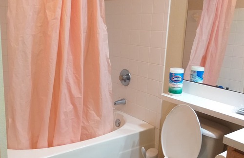 Sugar Land Apartment | A spacious 1-bedroom with bathroom available in a 2-bedroom apartment