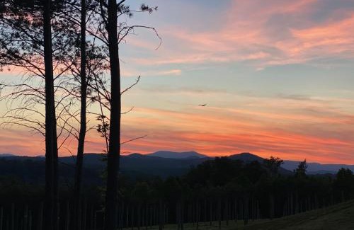 Mount Airy Apartment | A Suite with a View + Wine