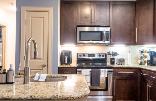 South Central Houston Apartment | A Touch of Class | MD Anderson/NRG