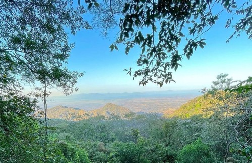 Miramar Resort | A TRANSPARENT DOME IN THE JUNGLE