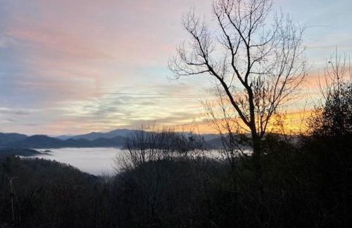 Almond House | A Treehouse View Over Lake