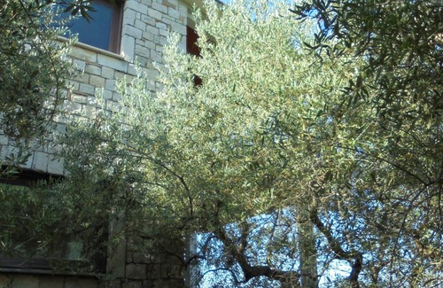 Spigno Saturnia Superiore House | A walk in the mountains.a stone's throw from the sea