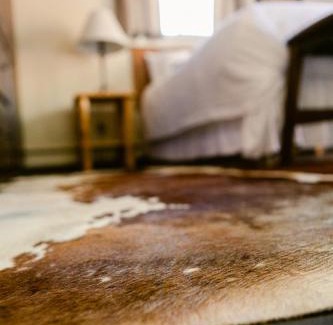 Cody House | A Wilderness Retreat - Your Gateway to Yellowstone