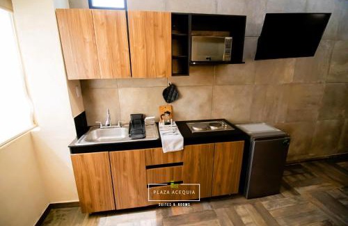 Cuautitlan Izcalli Apartment | A21 Premium Suite BLACK MAX Cocina Terraza Companies Work Teams 2-4 PAX
