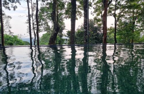 Vayittiri Resort | Aambal Wayanad Pool House Resort by Veda Retreat